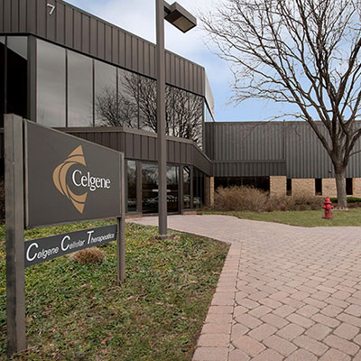CELGENE AND ANTHROGENSIS MERGE 